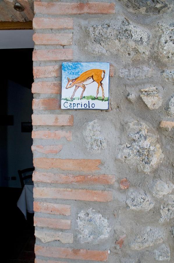Agriturismo Fontesettimena Appartamento Rondine- Appartamento Capriolo Volterra Luaran gambar